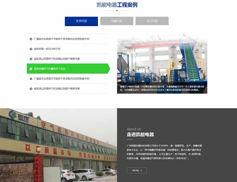 “金凯